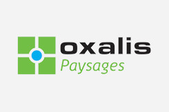 Oxalis Paysage